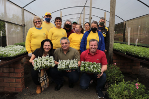 Horto Municipal produziu 80 mil mudas de flores e plantas ornamentais no ano