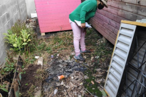 Vigil&acirc;ncia Ambiental realiza mutir&atilde;o de combate &agrave; Dengue