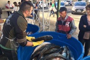 Quaresma incentiva a comercializa&ccedil;&atilde;o e consumo de peixes nas Feiras Livres 