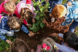 EBM Sede Figueira apresenta projeto �Trilha Ecol&oacute;gica dos Sabores"