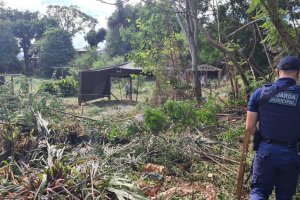 Administração evita invasão em área pública de preservação permanente