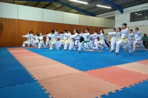 Festival Atleta do Futuro de Karate