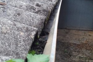 Agentes de Endemias fazem levantamento do Aedes aegypti