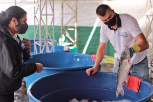 Movimento intenso na Feira do Peixe Vivo