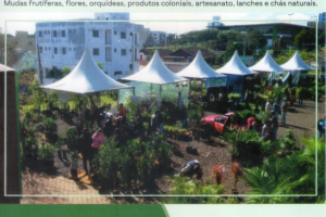Feira de mudas frut&iacute;feras e plantas ornamentais inicia nesta sexta-feira