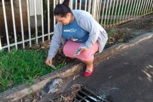 Combate ao Aedes Aegypti em Chapec&oacute;: Mais de 11 mil visitas em dois s&aacute;bados 