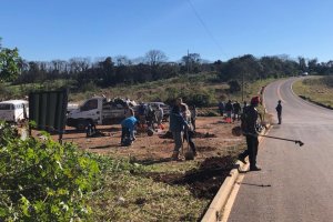 Menos lixo, mais vida: Prefeitura de Chapec&oacute; e Comunidade recuperam &aacute;rea degradada  