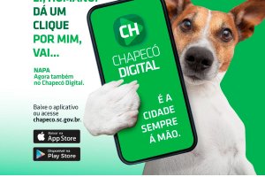 Voc&ecirc; conhece o NAPA? Sabe como ele funciona?