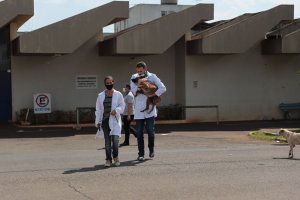 NAPA faz ação com cães que estavam próximo ao HRO