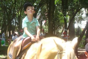 Prefeitura realiza mais uma edição do Passeio a Cavalo