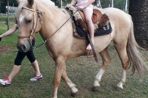 S&aacute;bado (07) &eacute; dia de Passeio a Cavalo no Verd&atilde;o