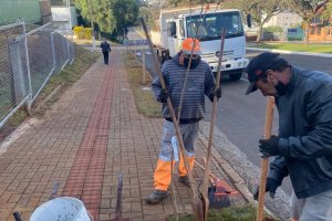 Avenida Getúlio Vargas receberá plantio de 500 árvores