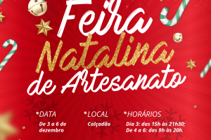 Feira Natalina de Artesanato em Chapec&oacute; 
