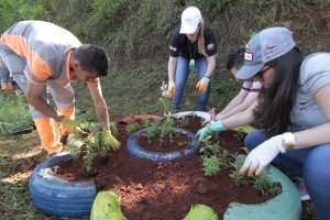 Lixo Zero Chapecó: Um ano de Programa, muitos desafios e resultados conquistados