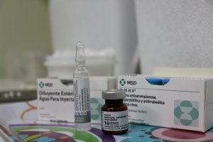 Segue campanha de vacina&ccedil;&atilde;o contra o Sarampo