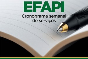 SUPERINTEND&Ecirc;NCIA DA EFAPI DIVULGA CRONOGRAMA DE ATIVIDADES