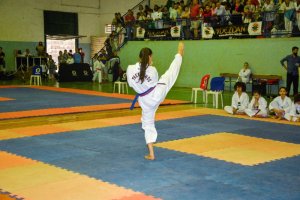 Federa&ccedil;&atilde;o Catarinense premia os melhores do ano do Taekwondo 