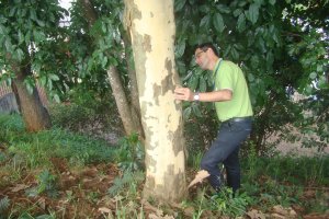Taturanas: SEJEL e Sa&uacute;de alertam para cuidados em caminhadas no Verd&atilde;o