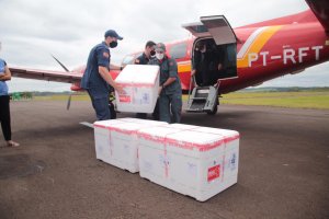 Vacina&ccedil;&atilde;o inicia nesta ter&ccedil;a-feira em Chapec&oacute;