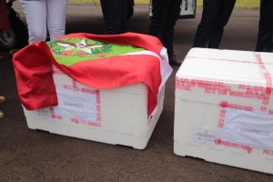 Secretaria de Saúde não identificou nenhuma variante da Covid-19