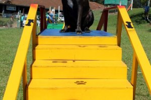 Prefeitura prepara quarta edi&ccedil;&atilde;o do Passeio a Cavalo no Verd&atilde;o