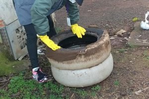Vigilância Ambiental fará mutirão contra a dengue nos cemitérios e bairro São Cristóvão