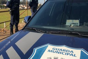 Relatório de Atendimentos da Guarda Municipal e Vigilância Sanitária