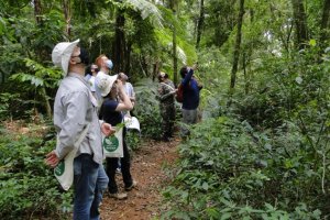 Meio Ambiente promove capacitação sobre identificação de espécies da Mata Atlântica