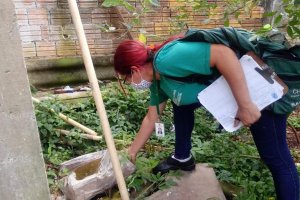 Chapecó lança pacote de ações no combate à dengue