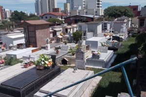 Campanha de orienta&ccedil;&atilde;o zera focos de dengue em cemit&eacute;rios