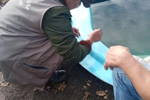 Mutir&atilde;o da dengue na Aldeia Kond&aacute; ser&aacute; na pr&oacute;xima segunda-feira