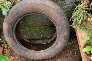 Vigil&acirc;ncia Realiza Orienta&ccedil;&atilde;o e Mutir&atilde;o Para o Dia de Finados&nbsp;