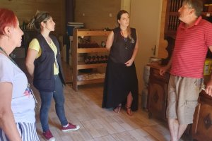 Vigil&acirc;ncia Sanit&aacute;ria e Epagri orientam produtores sobre beneficiamento de alimentos