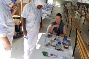 Chapec&oacute; refor&ccedil;a combate &agrave; Dengue com a&ccedil;&otilde;es em empresas