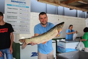 Inicia a Feira do Peixe em Chapec&oacute;
