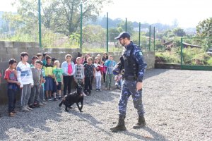 Lan&ccedil;ado o projeto NAPA nas escolas