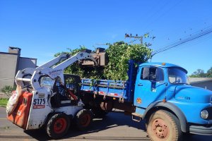Superintend&ecirc;ncia da Efapi recolhe seis cargas de galhos por dia