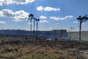 Diretoria de Meio Ambiente alerta para proibi&ccedil;&atilde;o de queimadas