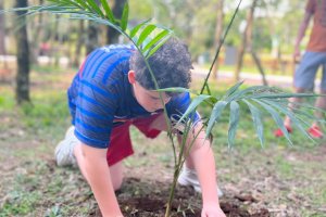 Prefeitura de Chapec&oacute; promove plantio de esp&eacute;cie nativa no Ecoparque
