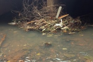 Prefeitura realiza limpeza de galerias e tubos para minimizar alagamentos