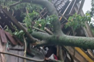 Chapecó decreta situação de emergência por prejuízos causados pela chuva e vendaval