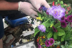 Floriculturas e mercados são orientados sobre venda de flores no Finados