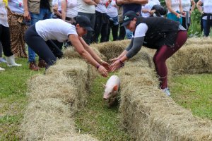 Projeto "Agrogincana: Desemparedando a gest&atilde;o" &eacute; promovido pela Secretaria de Educa&ccedil;&atilde;o