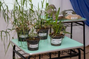 EBM em Agropecuária Demétrio Baldissarelli promove Seminário sobre temas do campo