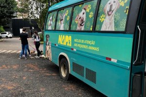 Saúde e NAPA farão segunda etapa da vacinação da Raiva