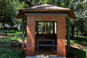 Revitaliza&ccedil;&atilde;o do Parque Palmital passa de 60%