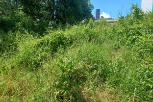 Prefeitura publica lista de propriet&aacute;rios de terreno baldio que ser&atilde;o multados 