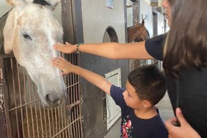 Centro de Conviv&ecirc;ncia Efapi propicia passeio a cavalo na Pol&iacute;cia Militar