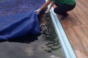 Vigil&acirc;ncia em Sa&uacute;de realizou mais de 300 visitas de combate &agrave; dengue no Carnaval