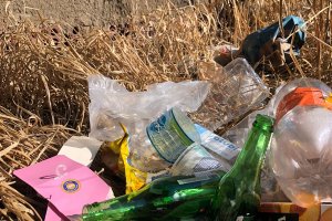 Dia Nacional de Mobilização e combate à dengue em Chapecó